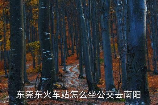 東莞那個站到南陽大巴，東莞哪個車站有到河南南陽的臥鋪車票