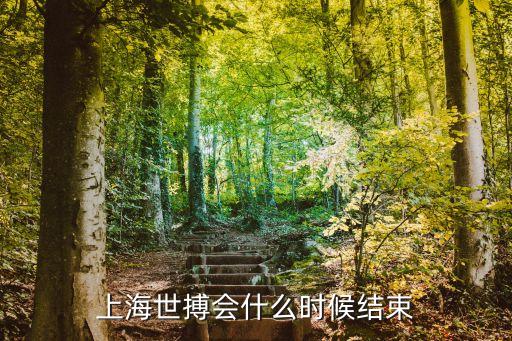 上海世搏會什么時候結束