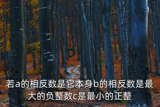 若a的相反數是它本身b的相反數是最大的負整數c是最小的正整