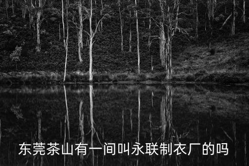 東莞永聯制衣有限公司，東莞茶山有一間叫永聯制衣廠的嗎