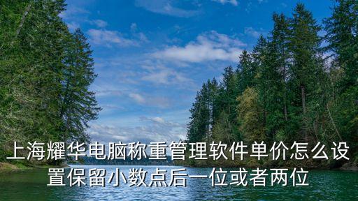 上海市轄區(qū)地磅軟件，在上海用那種軟件算量比較好呢