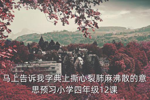 馬上告訴我字典上撕心裂肺麻沸散的意思預習小學四年級12課