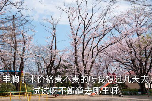 豐胸手術(shù)價(jià)格貴不貴的呀我想過(guò)幾天去試試呀不知道去哪里呀
