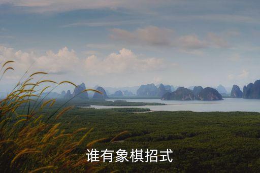 送佛歸殿，誰有象棋招式