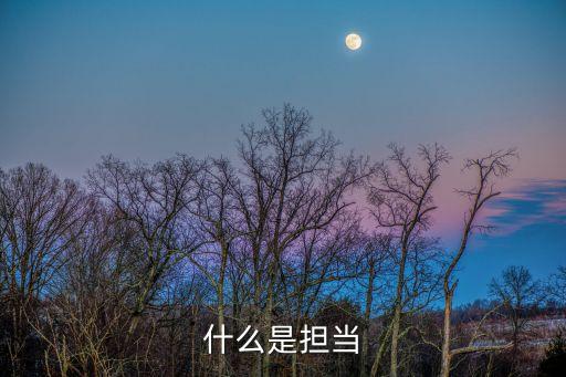 當擔，什么是擔當