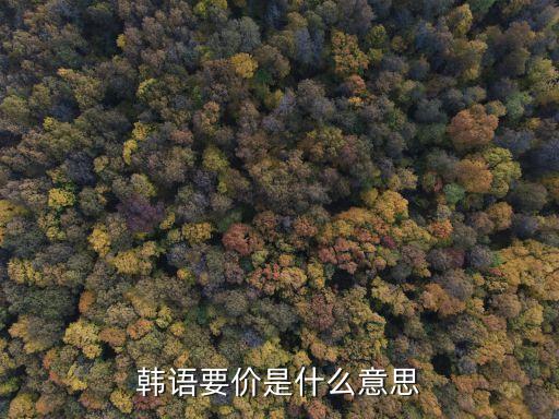 韓語要價是什么意思