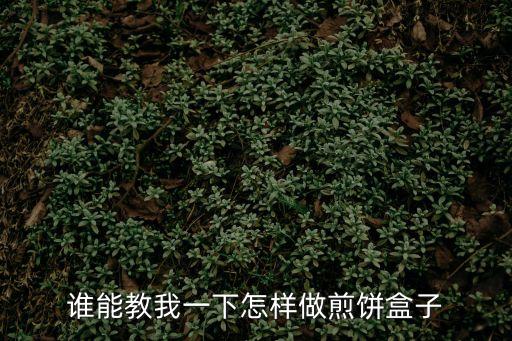 誰(shuí)能教我一下怎樣做煎餅盒子