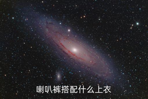 喇叭褲搭配什么上衣