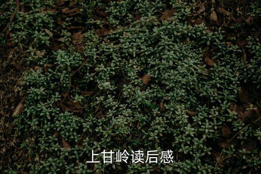 上甘嶺讀后感