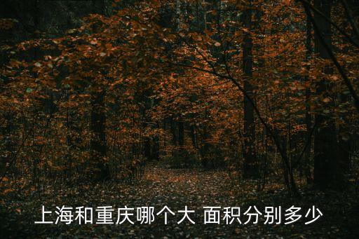 上海和重慶哪個大 面積分別多少