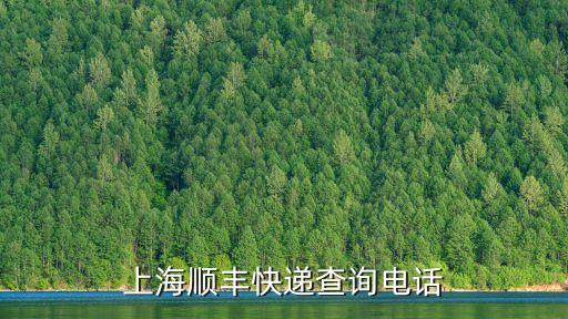 上海順豐快遞查詢電話