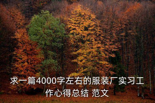 求一篇4000字左右的服裝廠實習工作心得總結 范文