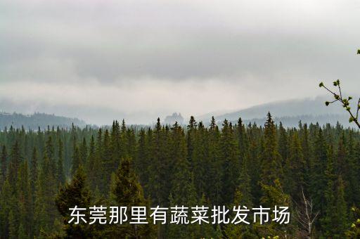 東莞那里有蔬菜批發(fā)市場(chǎng)