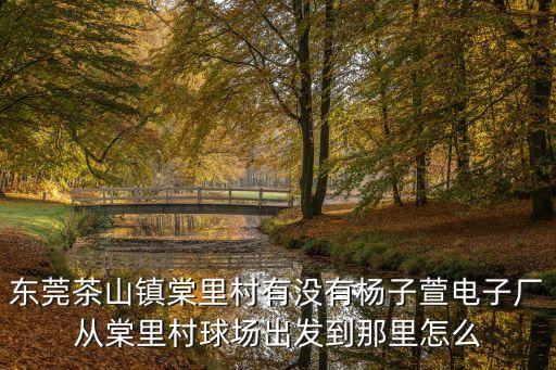 東莞市茶山鎮揚宣電子，東莞茶山鎮棠里村有沒有楊子萱電子廠從棠里村球場出發到那里怎么