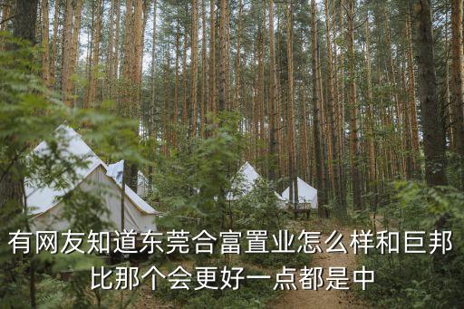 東莞市合富置業怎么樣，東莞合富中原地產哪個好
