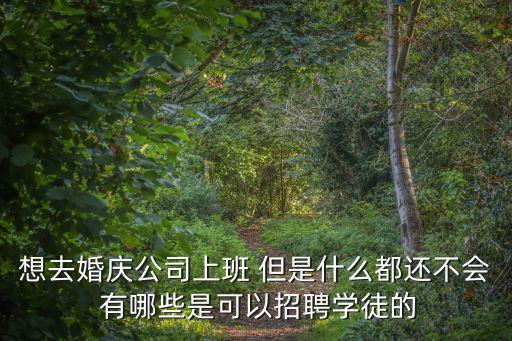 想去婚慶公司上班 但是什么都還不會 有哪些是可以招聘學徒的