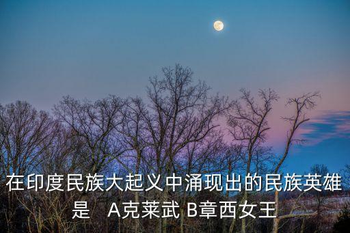 印度民族大起義，印度民族大起義首先開始于