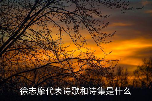 徐志摩的詩集，徐志摩的詩集有哪些