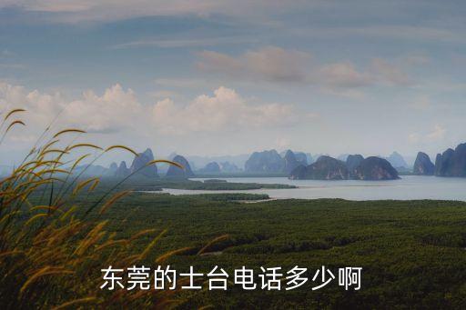 東莞優拜電話，東莞電話區號