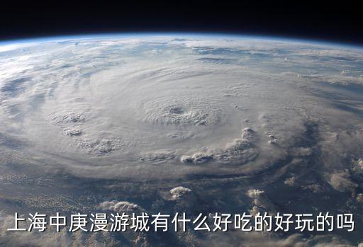 上海中庚漫游城有什么好吃的好玩的嗎