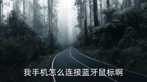 藍(lán)牙鼠標(biāo)怎么連接，藍(lán)牙鼠標(biāo)怎么連接電腦
