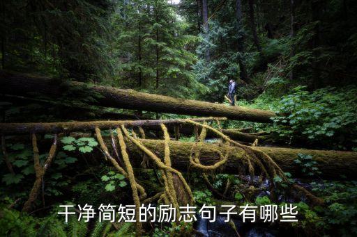 簡單干凈的說說，干凈簡短的勵志句子有哪些