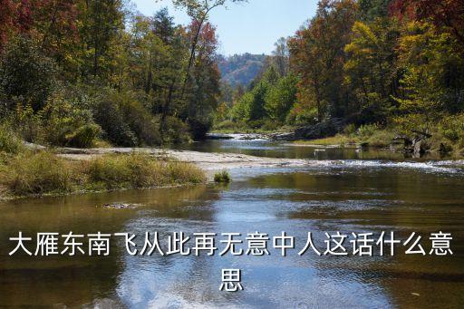 大雁東南飛從此再無意中人這話什么意思
