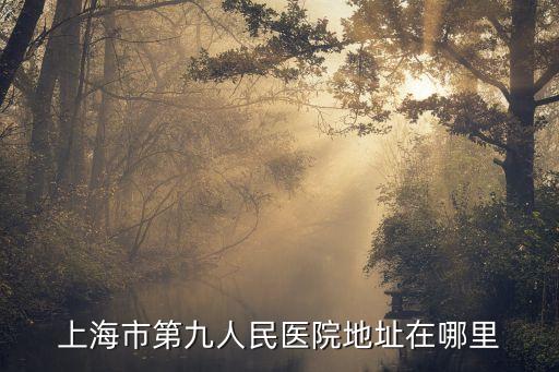 上海市第九人民醫院地址在哪里