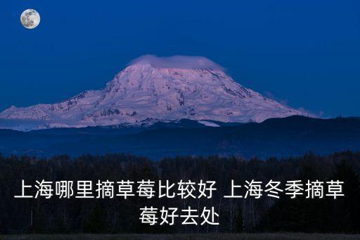 上海哪里摘草莓比較好 上海冬季摘草莓好去處