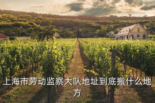 上海市區(qū)督導(dǎo)組電話地址，上海市勞動(dòng)監(jiān)察大隊(duì)地址到底搬什么地方