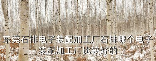 東莞石排電子裝配加工廠石排哪個電子裝配加工廠比較好的
