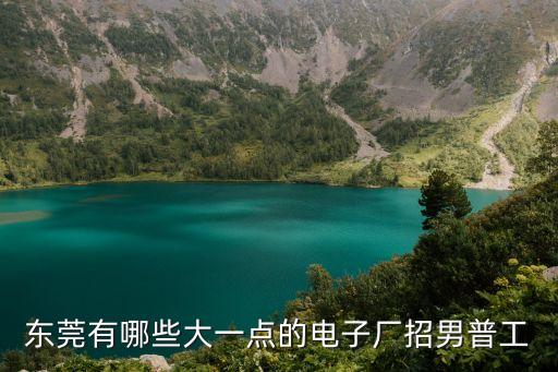 東莞有哪些大一點的電子廠招男普工
