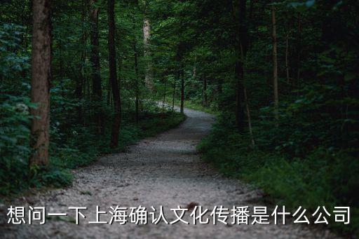 想問一下上海確認(rèn)文化傳播是什么公司