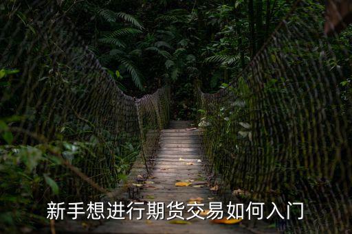 新手想進行期貨交易如何入門