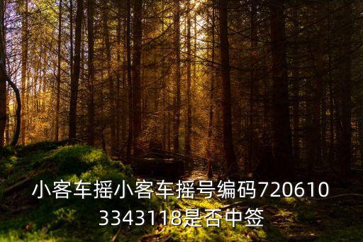 小客車(chē)搖小客車(chē)搖號(hào)編碼7206103343118是否中簽