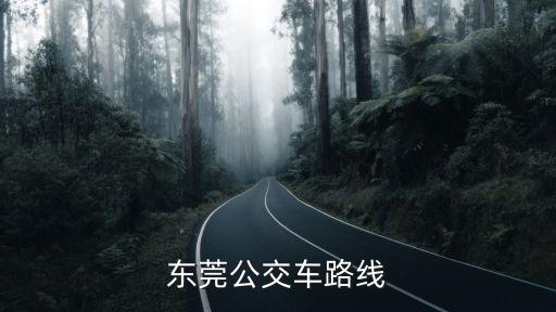 東莞市公交車路線圖，東莞公交車路線