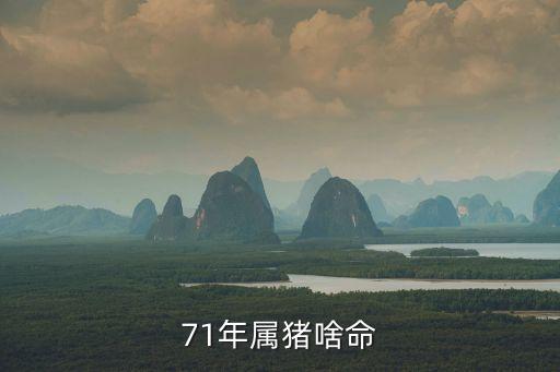 1971年屬豬的是什么命，71年屬豬啥命