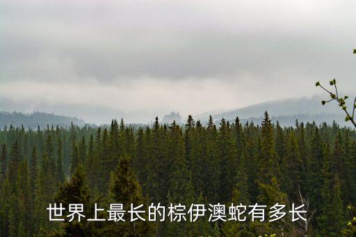 世界上最長(zhǎng)的棕伊澳蛇有多長(zhǎng)