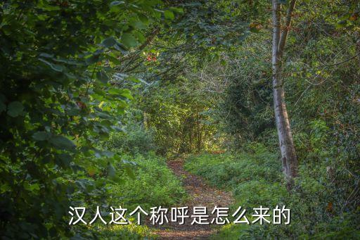 漢人這個(gè)稱呼是怎么來的