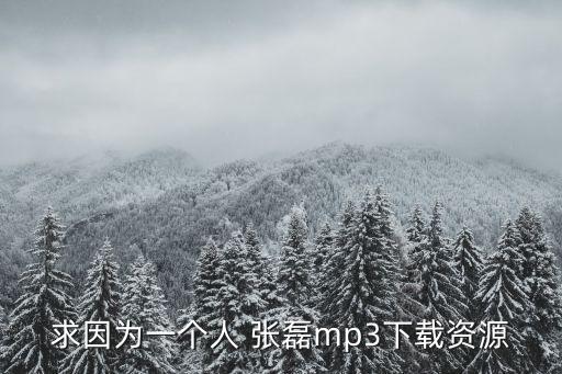 求因為一個人 張磊mp3下載資源