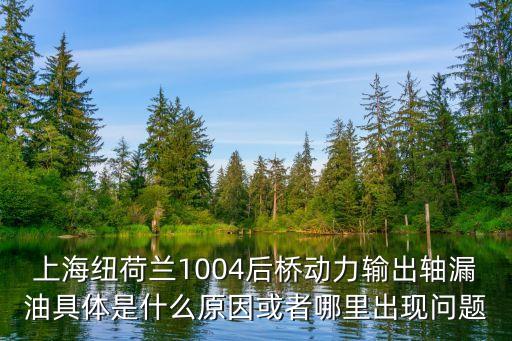 上海紐荷蘭1004后橋動力輸出軸漏油具體是什么原因或者哪里出現問題