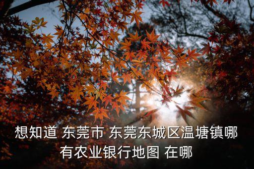 想知道 東莞市 東莞東城區溫塘鎮哪有農業銀行地圖 在哪