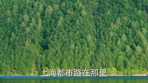 上海市華海路在何方，上海市華山路1626號(hào)的復(fù)旦中學(xué)屬于哪個(gè)街道 在線等呀