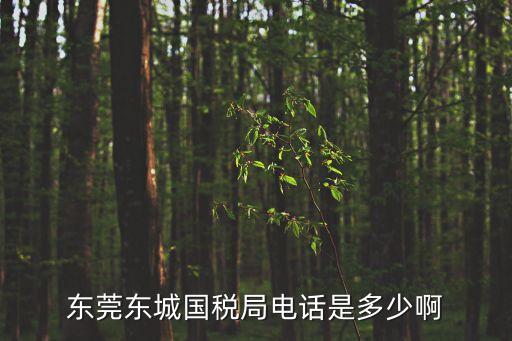 東莞石排地稅局電話號(hào)碼，地稅局電話