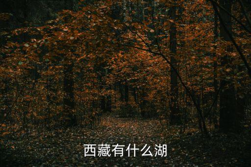 西藏有什么湖