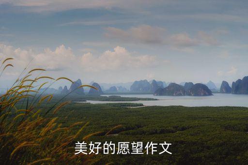 美好的心愿，美好的心愿 小學六年級作文作文