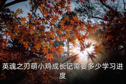 英魂之刃萌小雞成長記需要多少學習進度