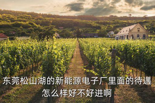東莞松山湖的新能源電子廠里面的待遇怎么樣好不好進(jìn)啊