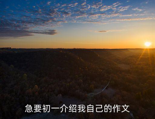 急要初一介紹我自己的作文