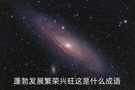 蓬勃發(fā)展繁榮興旺這是什么成語
